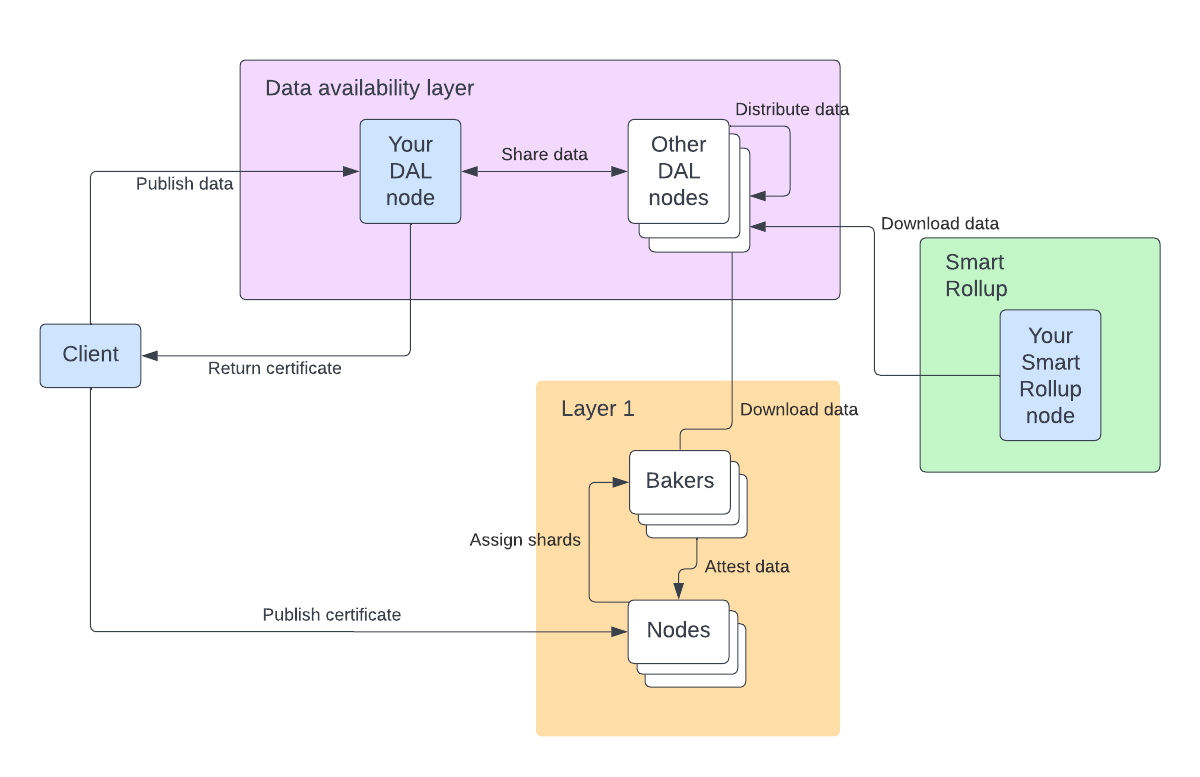 A diagram of the DAL file tutorial, highlighting the Octez client, DAL node, and Smart Rollup that you create with a light blue background to distinguish them from the existing DAL nodes, layer 1 nodes, and bakers